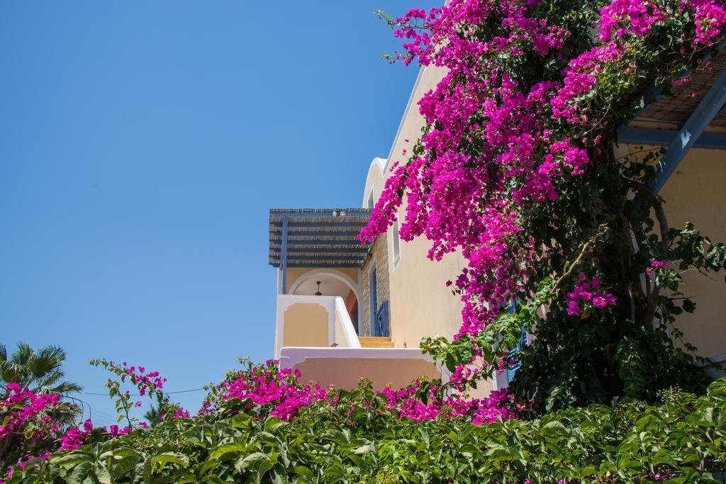 Asterias Mini Coastal Apartments Perivolos  Exterior photo